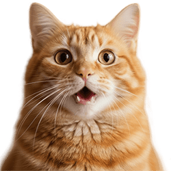 تخفیف شگفت انگیز غذای سگ و گربه