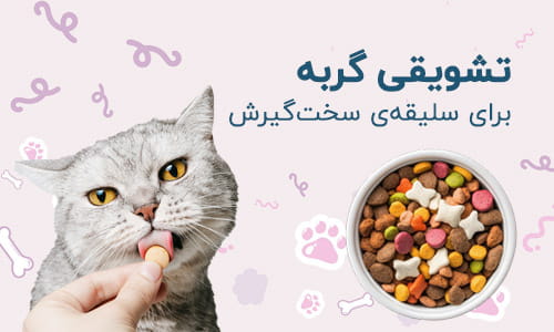 خرید تشویقی گربه