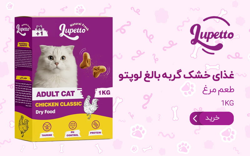 غذای خشک گربه بالغ لوپتو مدل سوپر پرمیوم طعم مرغ